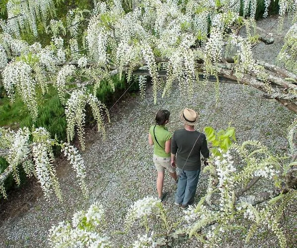 Covela Nocleg ze śniadaniem 3*